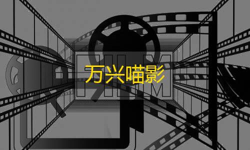 视觉官网24小时自动发卡网万兴喵影